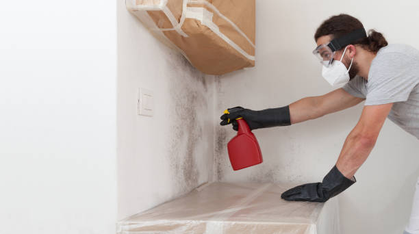 Professional Crawl Space Mold Removal technician working in Lincoln Park, CO